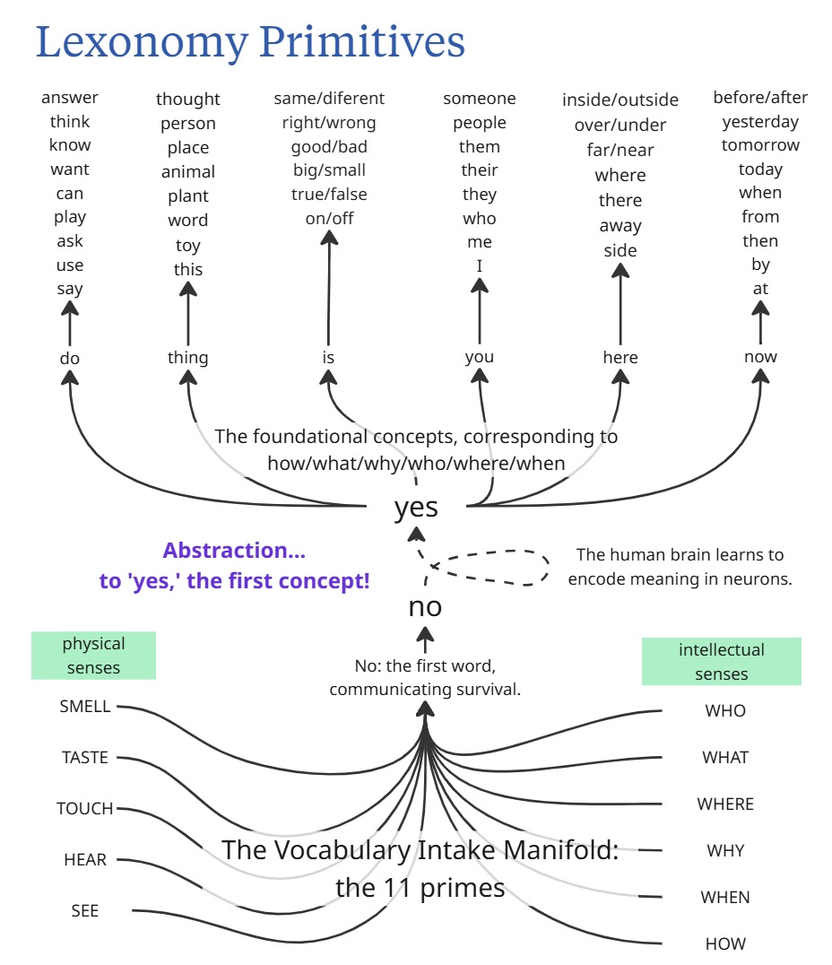 tree diagram showing senses and the 6 'W's deriving the rest of vocabulary